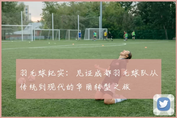 羽毛球纪实：见证成都羽毛球队从传统到现代的华丽转型之旅