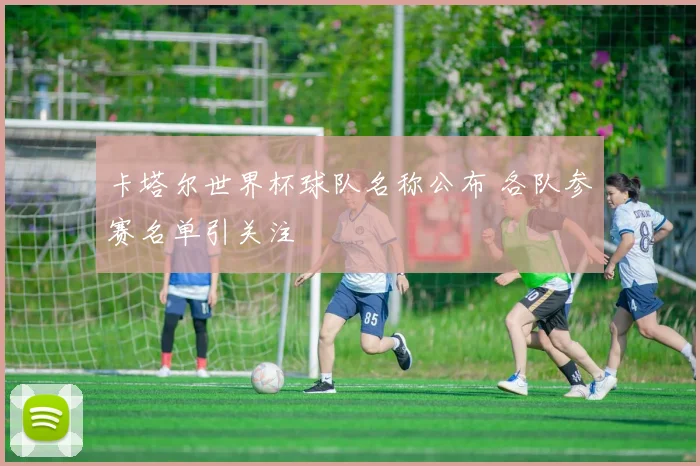 卡塔尔世界杯球队名称公布 各队参赛名单引关注