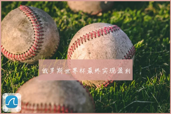 俄罗斯世界杯最终实现盈利