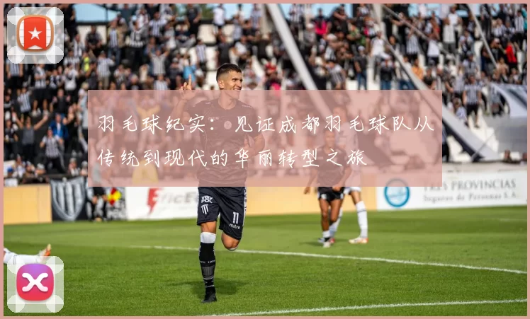 羽毛球纪实：见证成都羽毛球队从传统到现代的华丽转型之旅