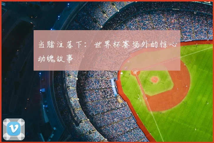 当赌注落下：世界杯赛场外的惊心动魄故事