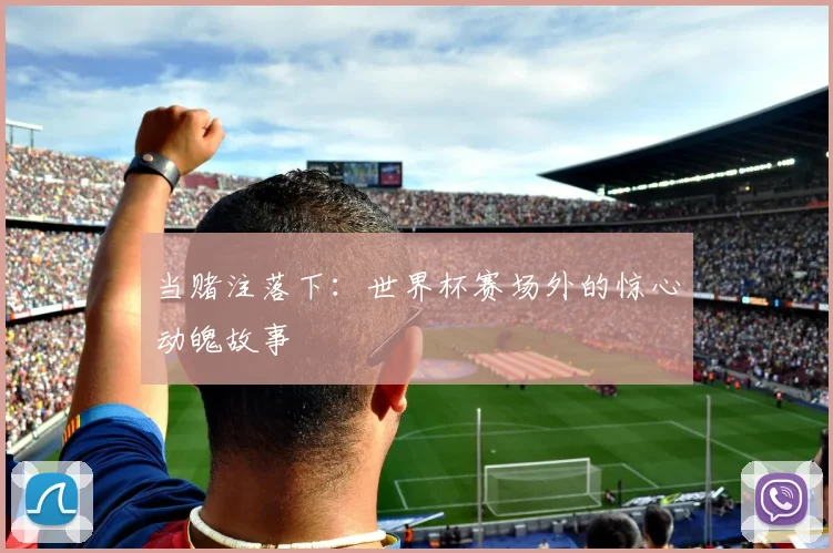 当赌注落下：世界杯赛场外的惊心动魄故事