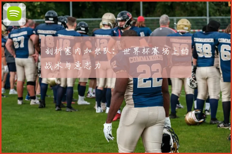 剖析塞内加尔队：世界杯赛场上的战术与意志力