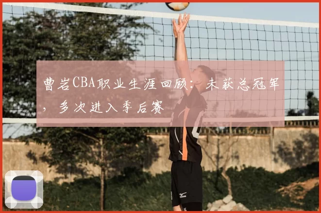 曹岩CBA职业生涯回顾：未获总冠军，多次进入季后赛