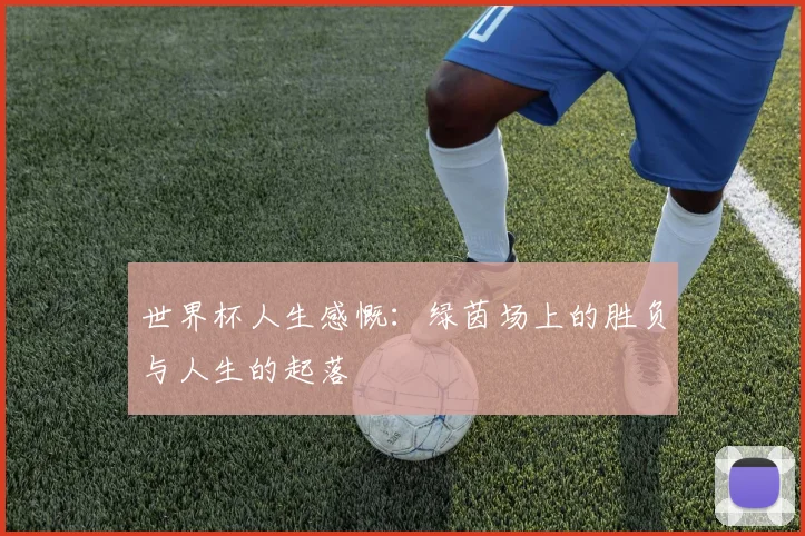 世界杯人生感慨:绿茵场上的胜负与人生的起落
