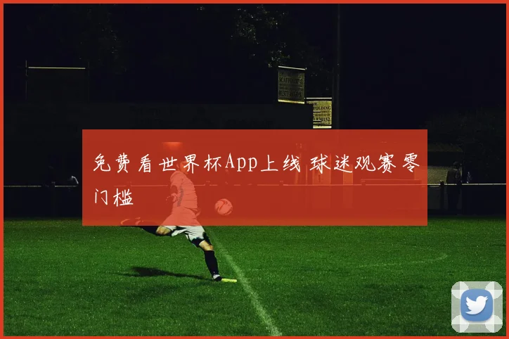 免费看世界杯App上线 球迷观赛零门槛