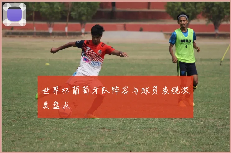 世界杯葡萄牙队阵容与球员表现深度盘点