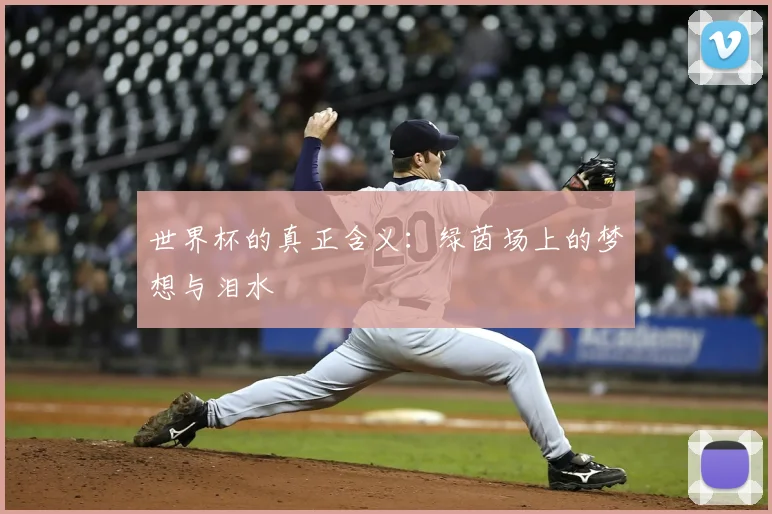 世界杯的真正含义：绿茵场上的梦想与泪水