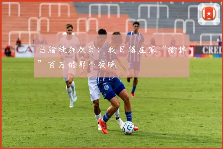 当赌徒狂欢时：我目睹庄家“输掉”百万的那个夜晚