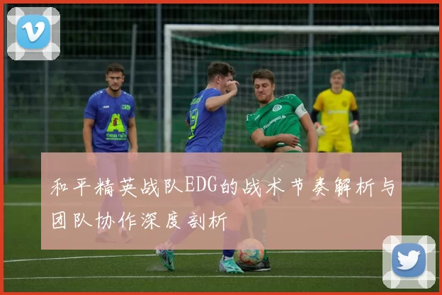 和平精英战队EDG的战术节奏解析与团队协作深度剖析