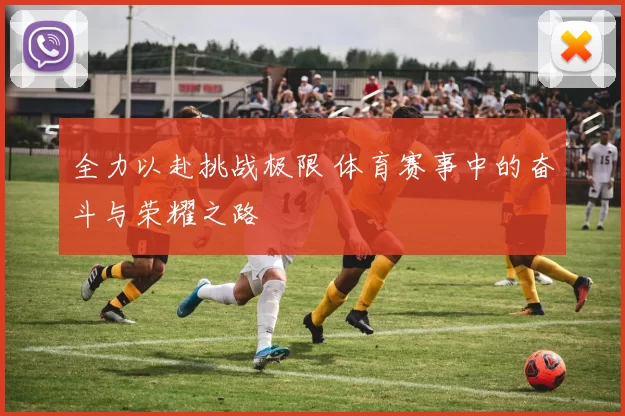 全力以赴挑战极限 体育赛事中的奋斗与荣耀之路