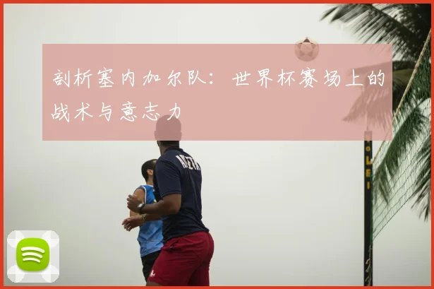 剖析塞内加尔队：世界杯赛场上的战术与意志力