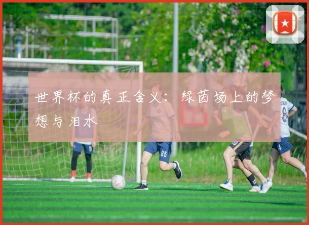 世界杯的真正含义：绿茵场上的梦想与泪水