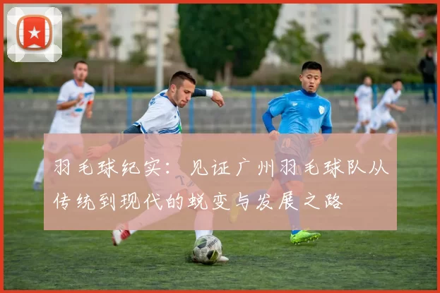 羽毛球纪实：见证广州羽毛球队从传统到现代的蜕变与发展之路