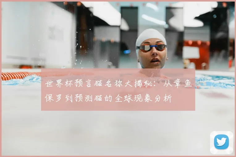 世界杯预言猫名称大揭秘:从章鱼保罗到预测猫的全球现象分析