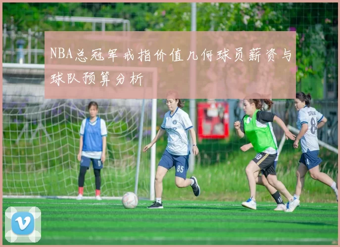 NBA总冠军戒指价值几何球员薪资与球队预算分析